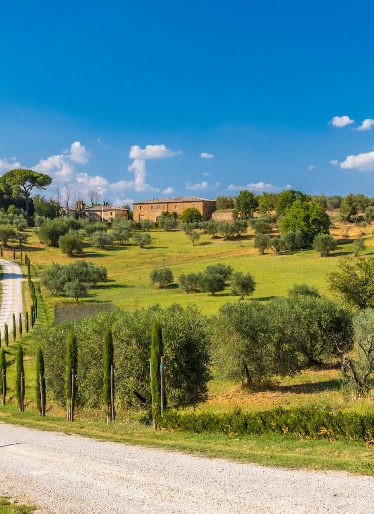 Paklijst autovakantie. Toscaanse weg tussen Montepulciano en Monticchielo, Italië
