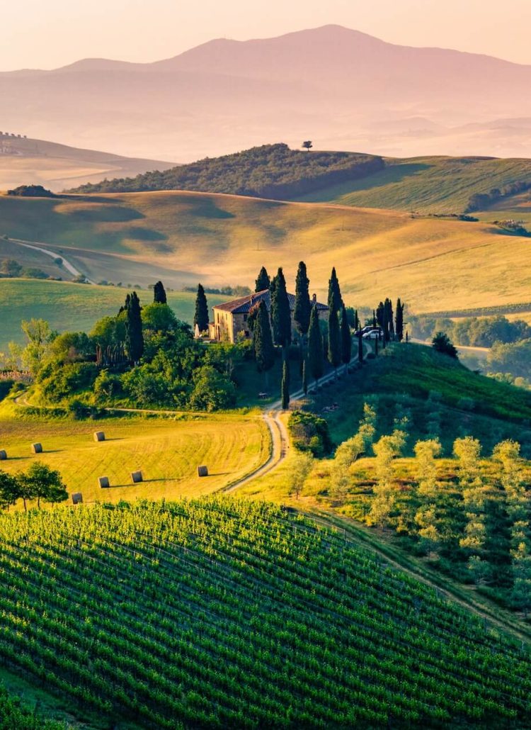 Toscaans landschap in gouden morgenlicht, Val d'Orcia