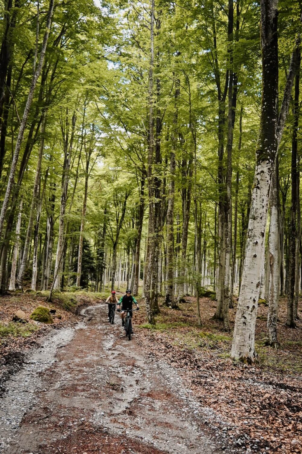 Mountainbiken op de Monte Amiata