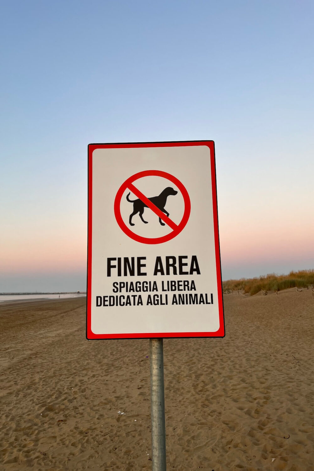 Fine area spiaggia libera per animali