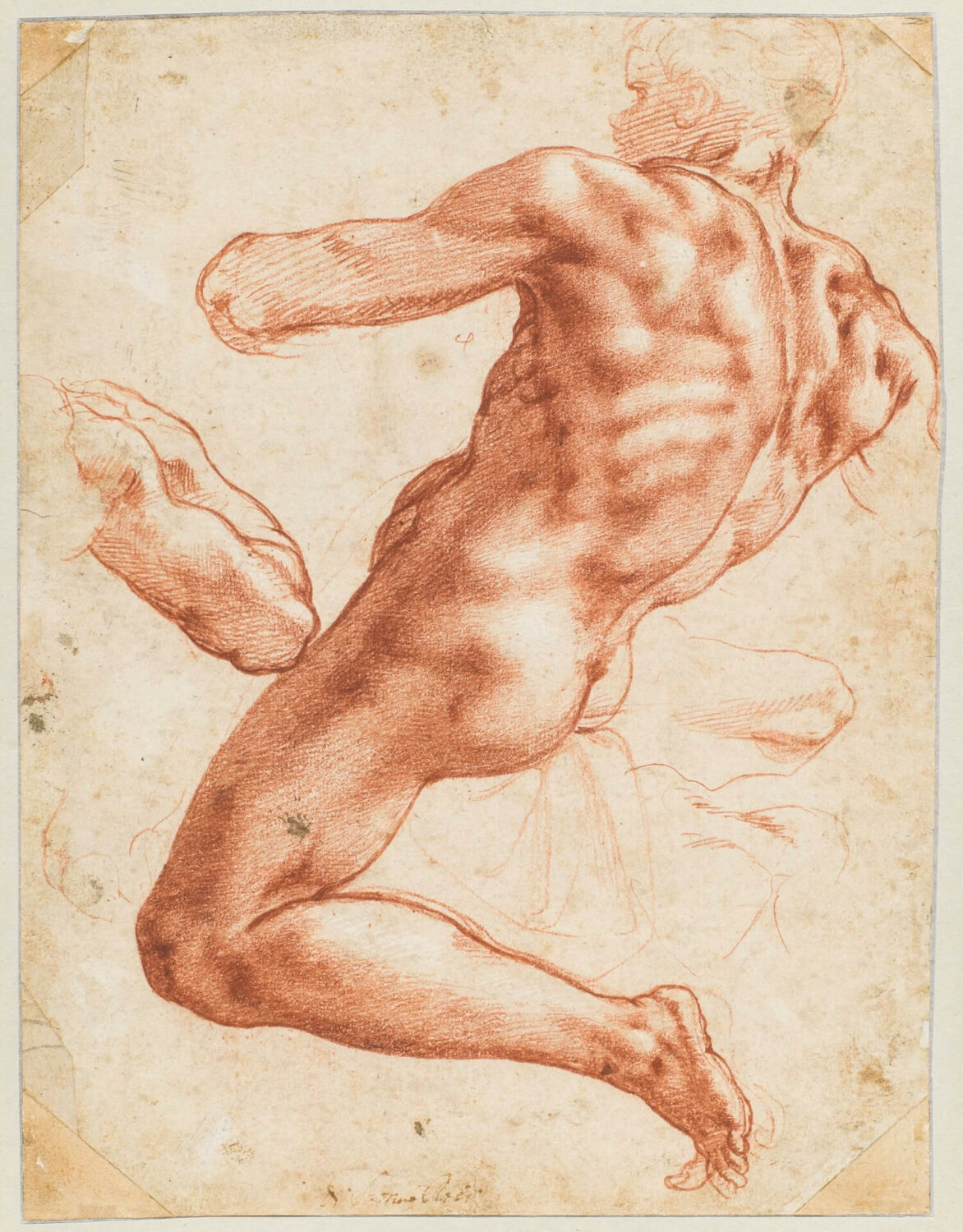 Michelangelo Buonarroti (1475-1564), Figuurstudie voor een ignudo in de Sixtijnse Kapel, ca. 1511
Collectie Teylers Museum