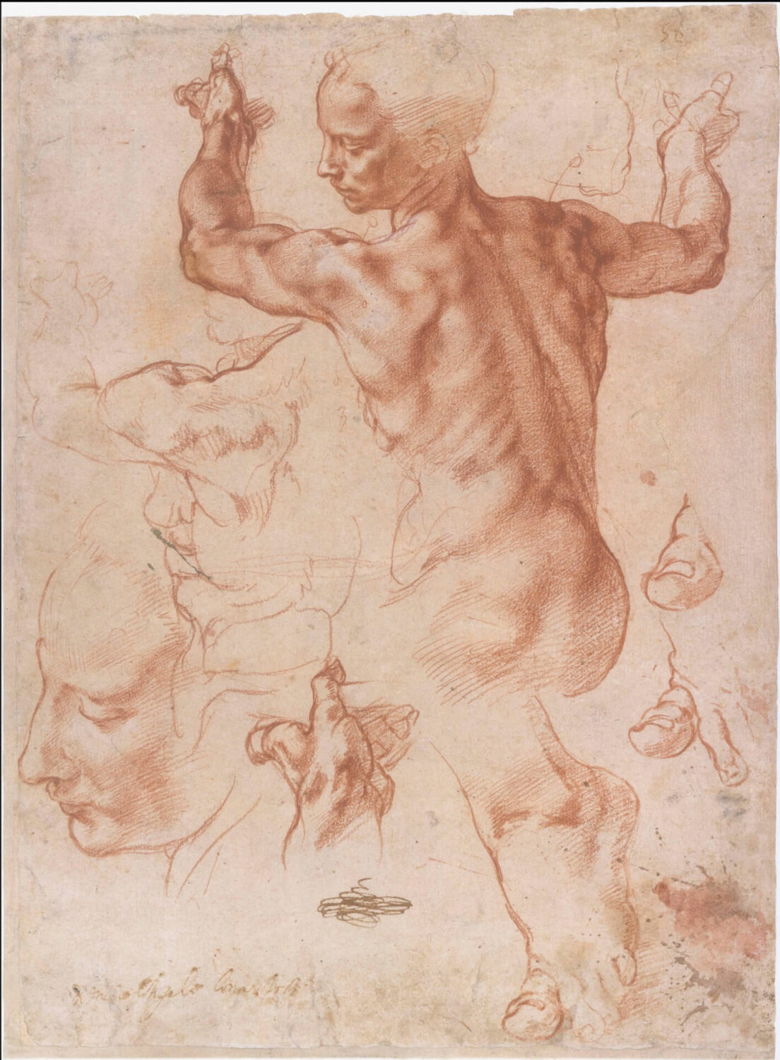 Michelangelo Buonarroti,
Studies voor de Libische Sibille voor
de Sixtijnse Kapel, ca. 1511, The Metropolitan Museum of
Art, New York