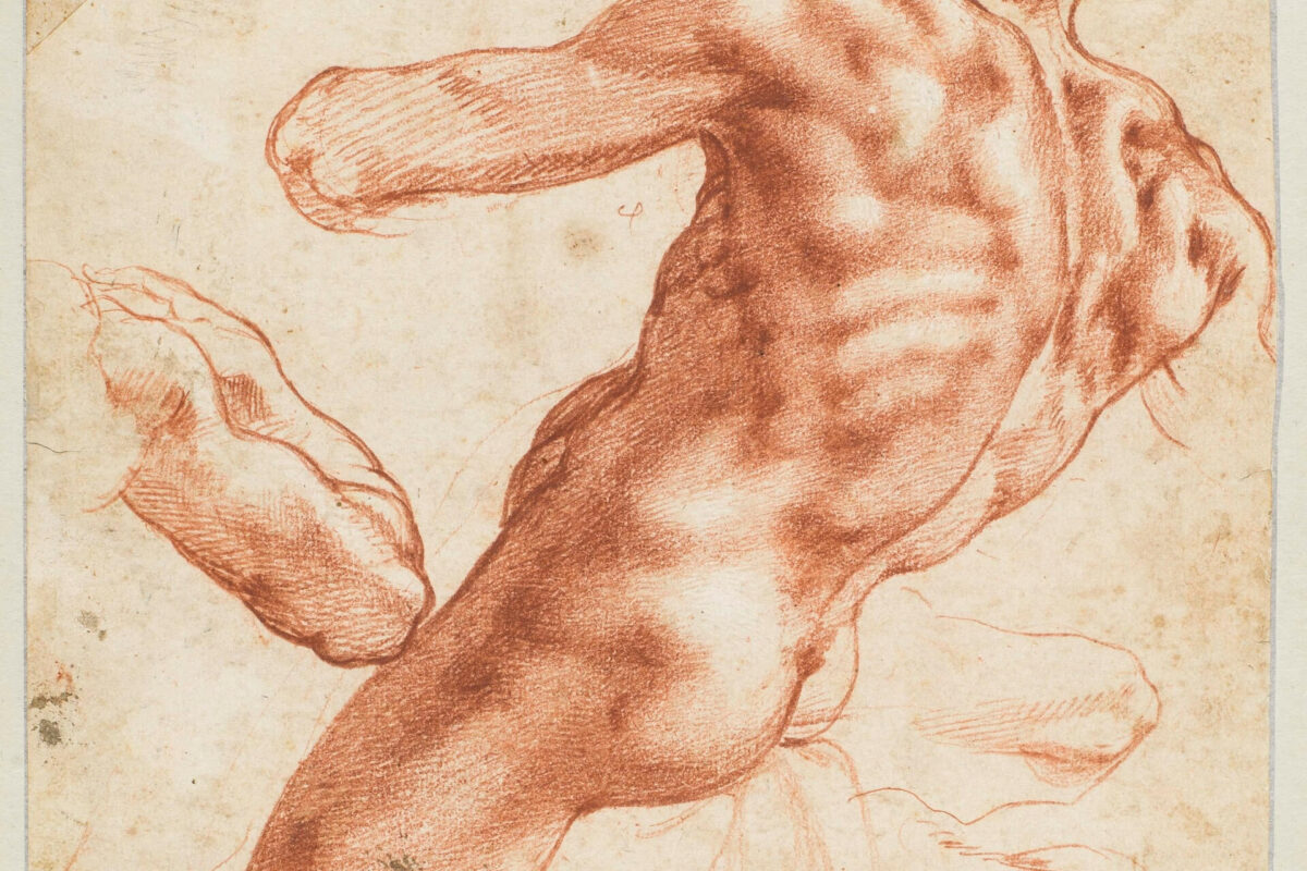 Michelangelo Buonarroti (1475-1564) Zittend mannelijk naakt (ignudo) voor de Sixtijnse Kapel, ca. 1511 Rood krijt, wit gehoogd op papier Collectie Teylers Museum