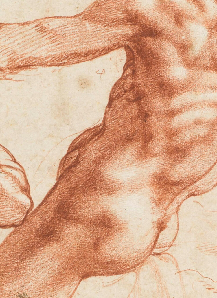 Michelangelo Buonarroti (1475-1564) Zittend mannelijk naakt (ignudo) voor de Sixtijnse Kapel, ca. 1511 Rood krijt, wit gehoogd op papier Collectie Teylers Museum