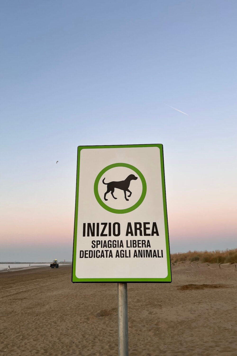 Spiaggia libera per animali, een gratis toegankelijk openbaar strand waar honden of andere huisdieren zijn toegestaan
