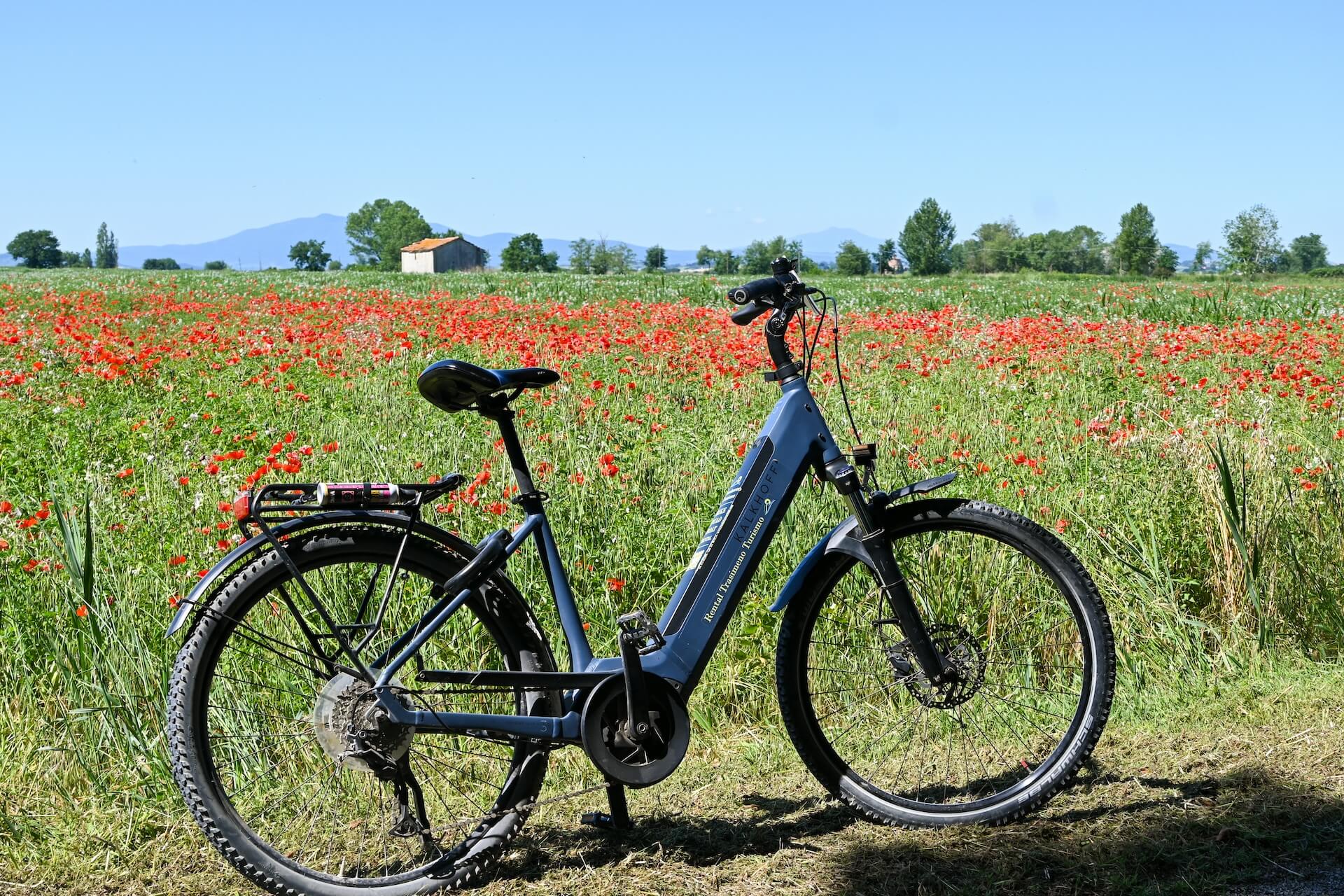 Fietsen rond het Lago Trasimeno over de Ciclovia del Trasimeno