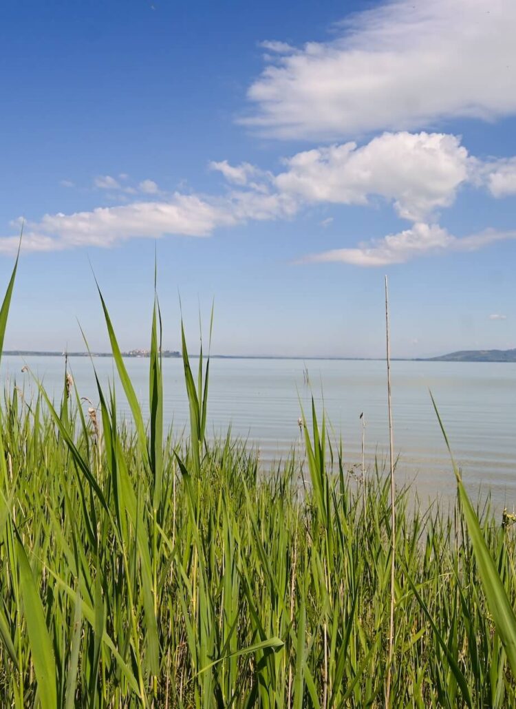 Lago Trasimeno is een oase van rust