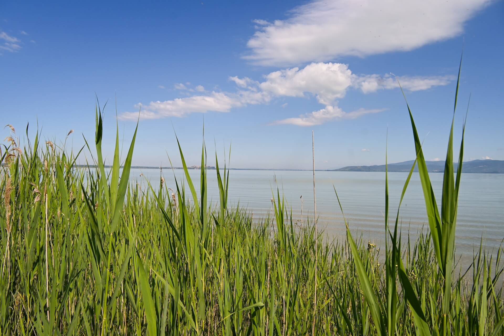 Lago Trasimeno is een oase van rust
